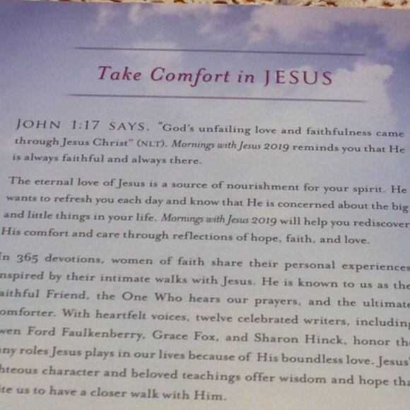 3 for $10 book sale! Bible Devotionals, Mornings with Jesus 2019 - Picture 3 of 7